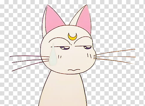 Sailor Moon, Artemis from Sailor Moon transparent background PNG clipart