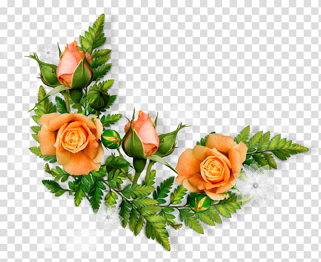 Flower In Vase, Greeting, Wish, Morning, Flower Bouquet, Flowers In Vase, Good, Cut Flowers transparent background PNG clipart