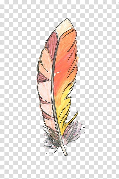 s, orange, gray, and yellow feather transparent background PNG clipart