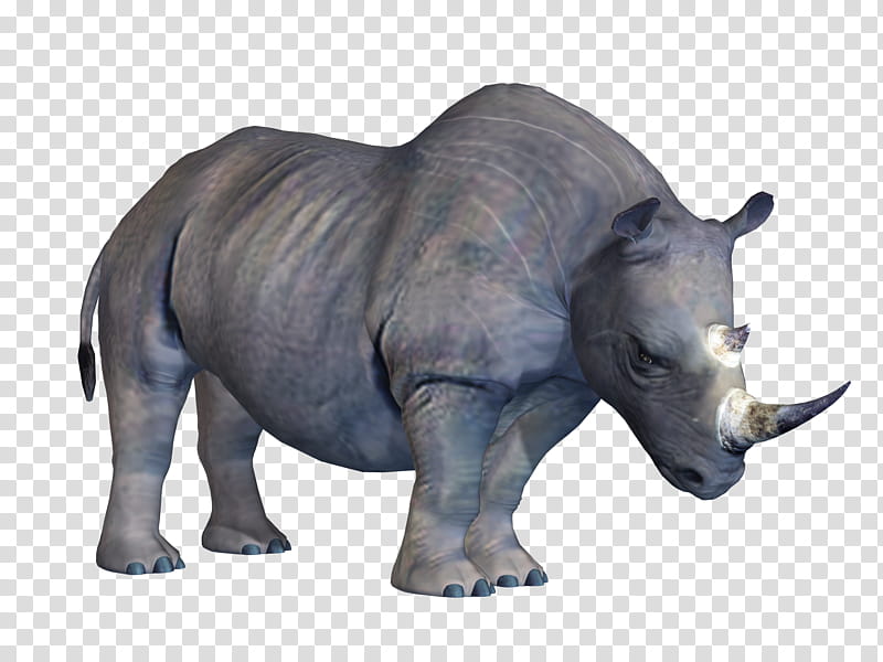 Rhino , black rhinoceros transparent background PNG clipart