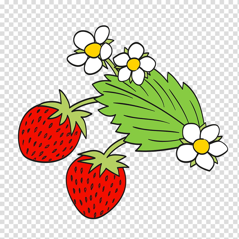 Bee, Strawberry, Maya The Bee, July, Blog, Stoff Liebe Gmbh, Vegetable, Strawberries transparent background PNG clipart