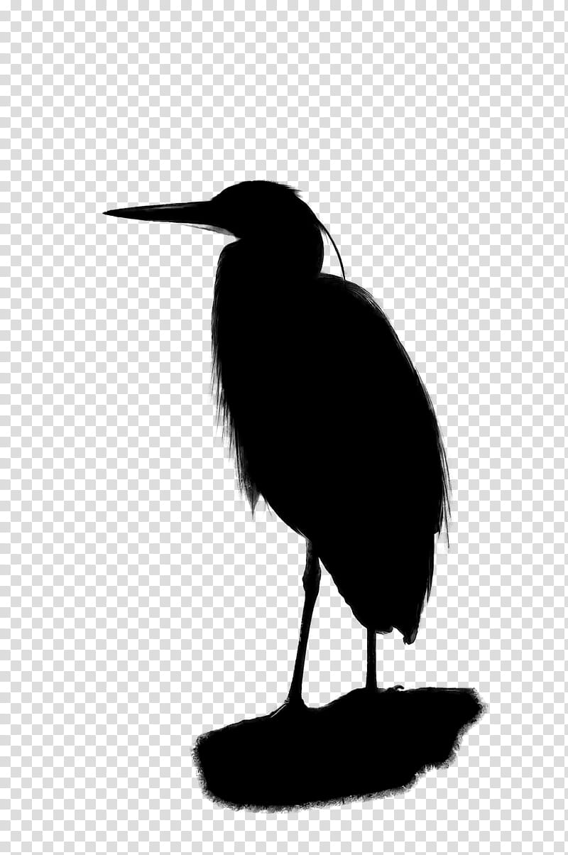 Bird Silhouette, Beak, Neck, Heron, Great Heron, Great Blue Heron, Ibis, Pelecaniformes transparent background PNG clipart