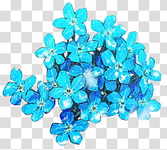 Flores II, blue flowers illustration transparent background PNG clipart