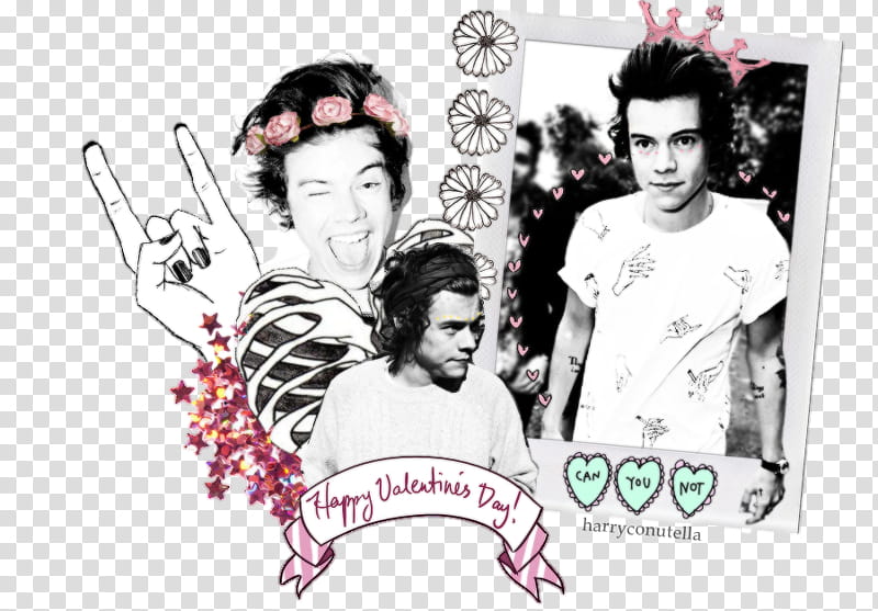 Harry Styles Valentine&#;s Day ID, {styxlik} transparent background PNG clipart