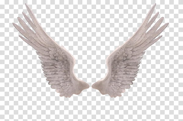 PART Material, white wings illustration transparent background PNG clipart