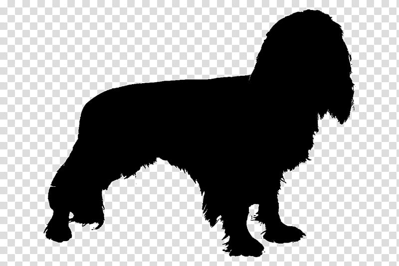 Gun, Newfoundland Dog, Puppy, Spaniel, Gun Dog, Breed, Snout, Silhouette transparent background PNG clipart