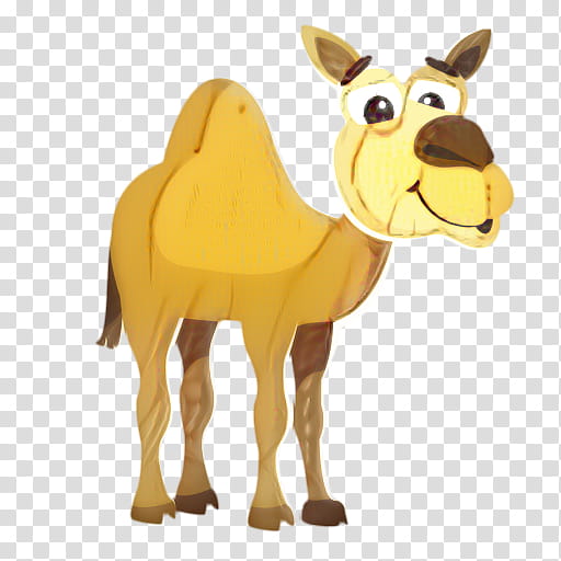 Llama, Dromedary, Bactrian Camel, Cartoon, Animal, Cuteness, Humour, Camelid transparent background PNG clipart