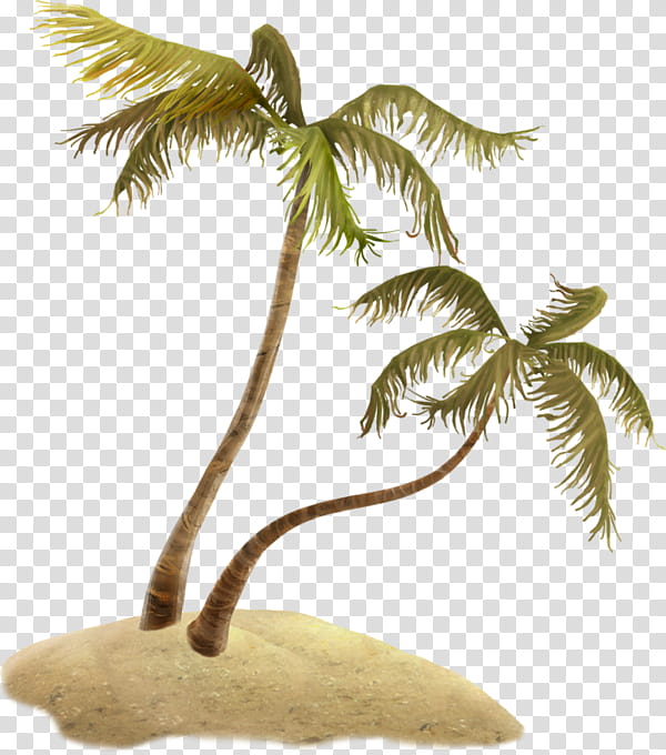 Cartoon Palm Tree, Coconut, Palm Trees, Branch, Leaf, Cartoon, Green Creative, Garden transparent background PNG clipart