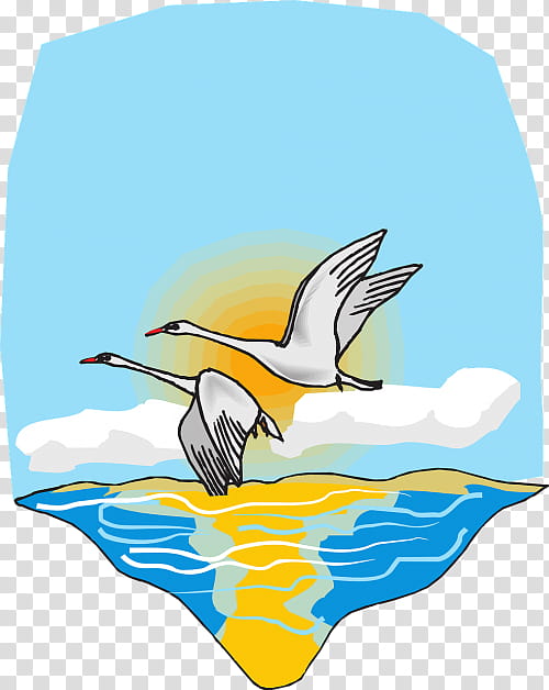 Crane Bird, Flight, Goose, Water Bird, Ducks Geese And Swans, Seabird, Tundra Swan, Wing transparent background PNG clipart