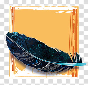Black feather art, Feather Black Color, feather transparent