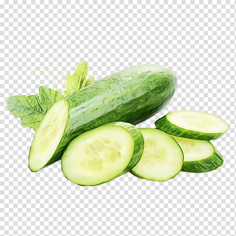 Winter, Watercolor, Paint, Wet Ink, Cucumber, Pickled Cucumber, Vegetable, Food transparent background PNG clipart