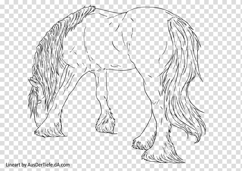 Draft Horse Lineart , horse sketch transparent background PNG clipart