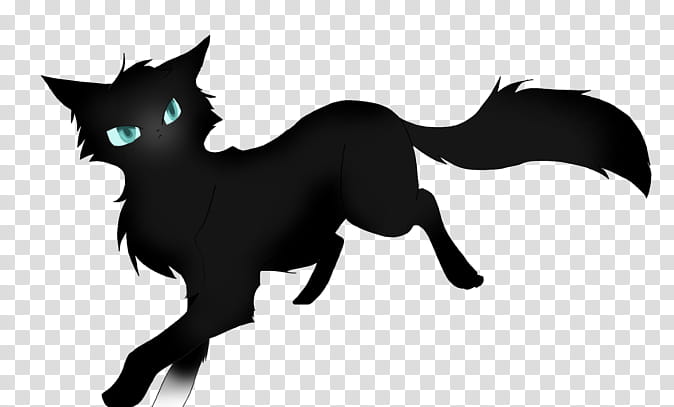 Rose Black And White, Cat, Warriors, Eye Color, Erin Hunter, Clan, Blue, Black Cat transparent background PNG clipart