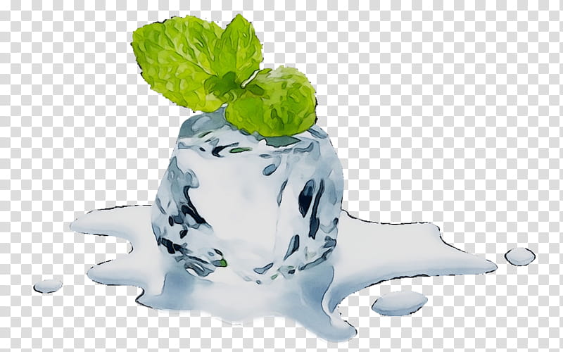 Green Leaf, Water, Ice, Plant, Liquid, Herb, Food transparent background PNG clipart