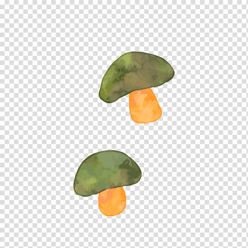 green and brown mushroom transparent background PNG clipart