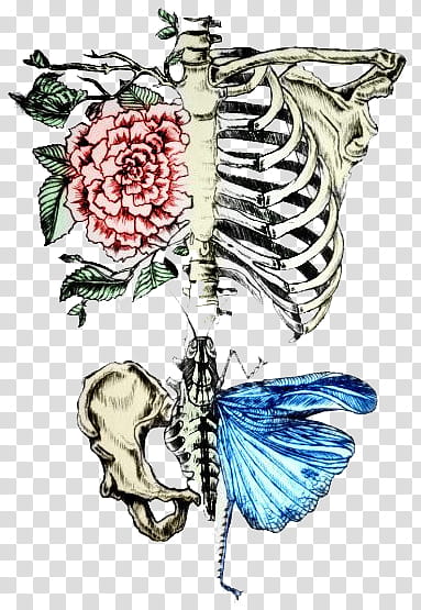 Anatomy v , beige skeleton and flower artwork transparent background PNG clipart