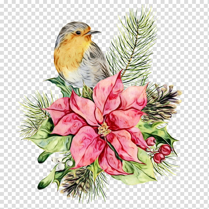 watercolor paint bird plant branch european robin, Wet Ink, Songbird, Flower, Perching Bird, Pine transparent background PNG clipart
