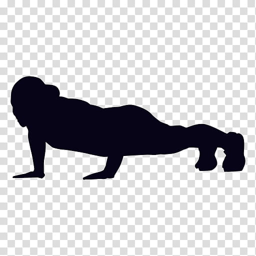 Cats, Lion, Silhouette, Pushup, Exercise, Pullup, Press Up, Animal Figure transparent background PNG clipart