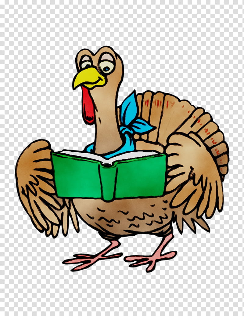 Thanksgiving Turkey Drawing, Chicken, Turkey Meat, Kitchen, Key Chains, Bird, Duck, Cartoon transparent background PNG clipart