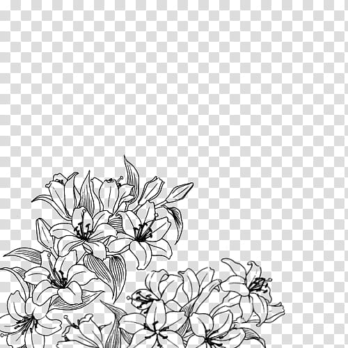 Flowers Draw ByunCamis, black and gray lily flowers corner frame transparent background PNG clipart