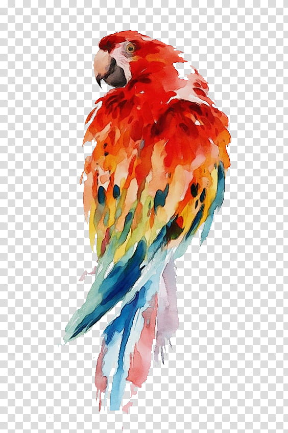 Watercolor, Paint, Wet Ink, Macaw, Lovebird, Parakeet, Watercolor Painting, Beak transparent background PNG clipart