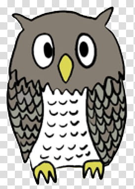 grey owl ddrawing transparent background PNG clipart