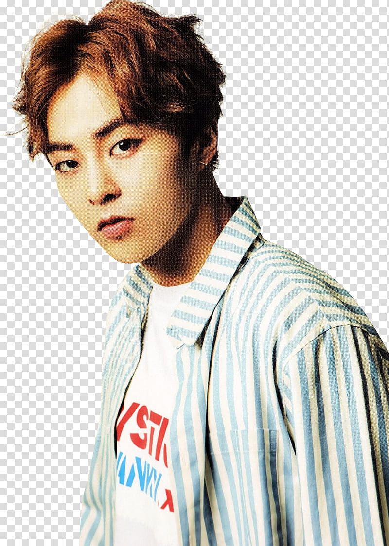 Xiumin EXO , man wearing gray and white striped collared top transparent background PNG clipart