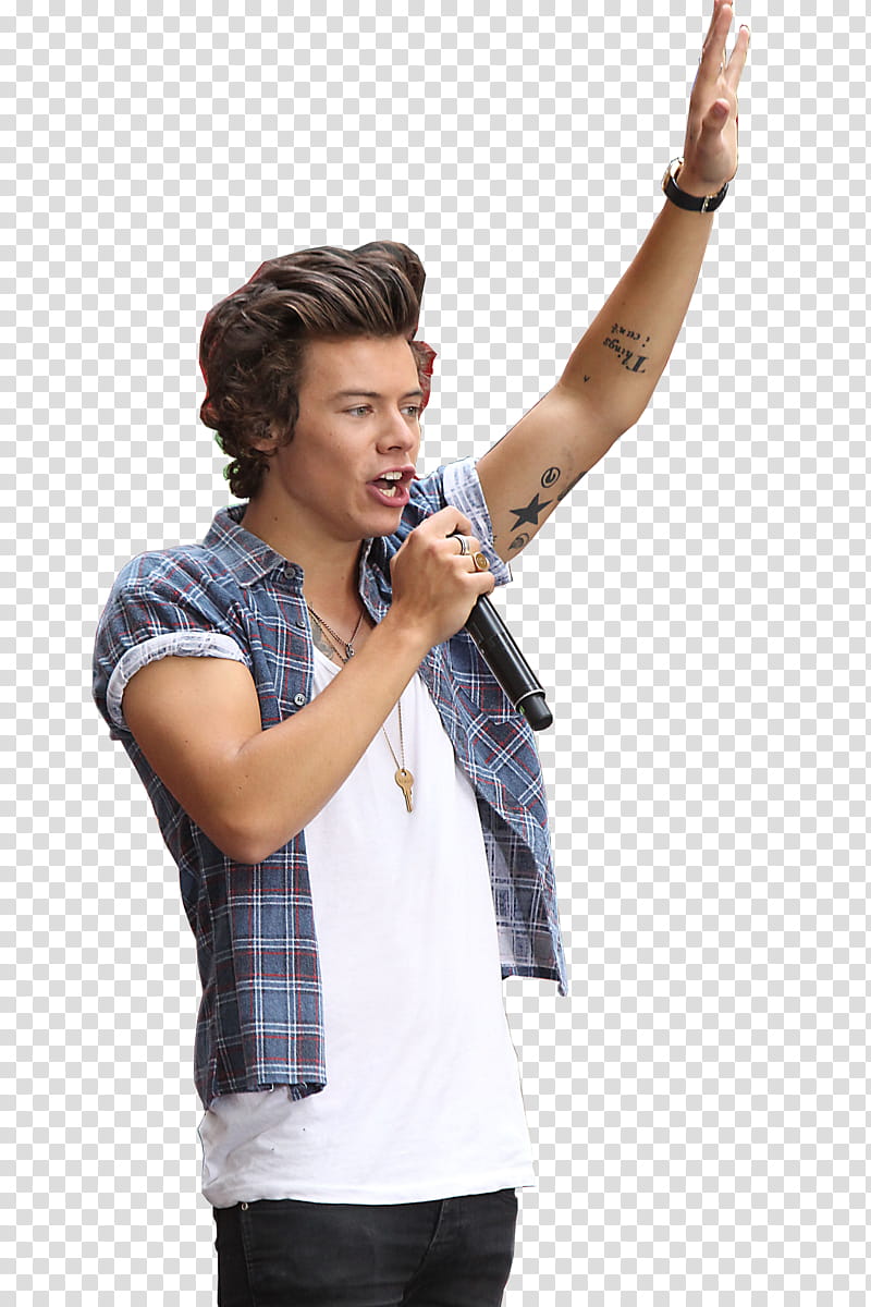 Harry Styles D,  transparent background PNG clipart