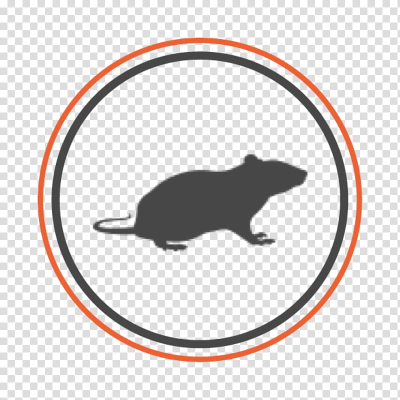 Bed, Rat, Pest Control, Oxisix Pest Control, Exterminator, Bed Bug Control Techniques, Terminix, Termite transparent background PNG clipart