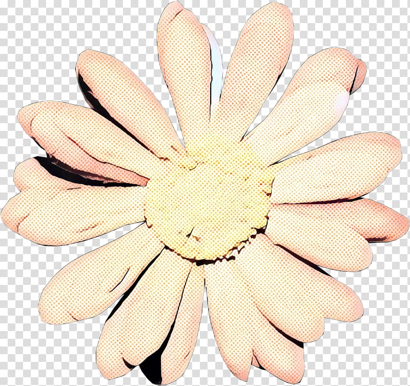 Beige Flower, Hand Model, Finger, Petal, Gerbera, Nail, Plant transparent background PNG clipart