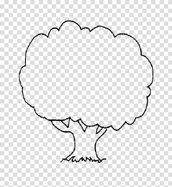 Coconut Tree Drawing, Coloring Book, Fall Tree, Child, Page, Cartoon, Creativity, Kindergarten transparent background PNG clipart