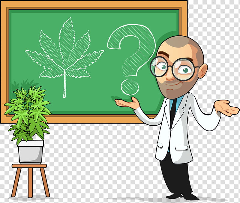 Blackboard, Cannabis, Cannabis Cultivation, Leafly, Medical Cannabis, Synthetic Cannabinoids, Plants, Maekon transparent background PNG clipart