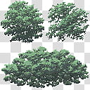 Konoha Stage DL, green tree illustration transparent background PNG clipart