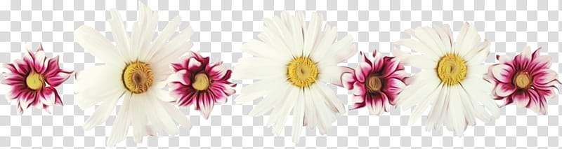 cut flowers flower pink plant petal, Flower Border, Flower Background, Floral Line, Watercolor, Paint, Wet Ink, Gerbera transparent background PNG clipart