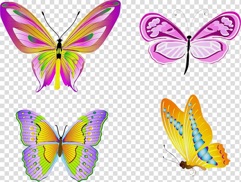 butterfly insect moths and butterflies wing symmetry, Watercolor, Paint, Wet Ink, Pollinator, Lycaenid, Brushfooted Butterfly transparent background PNG clipart