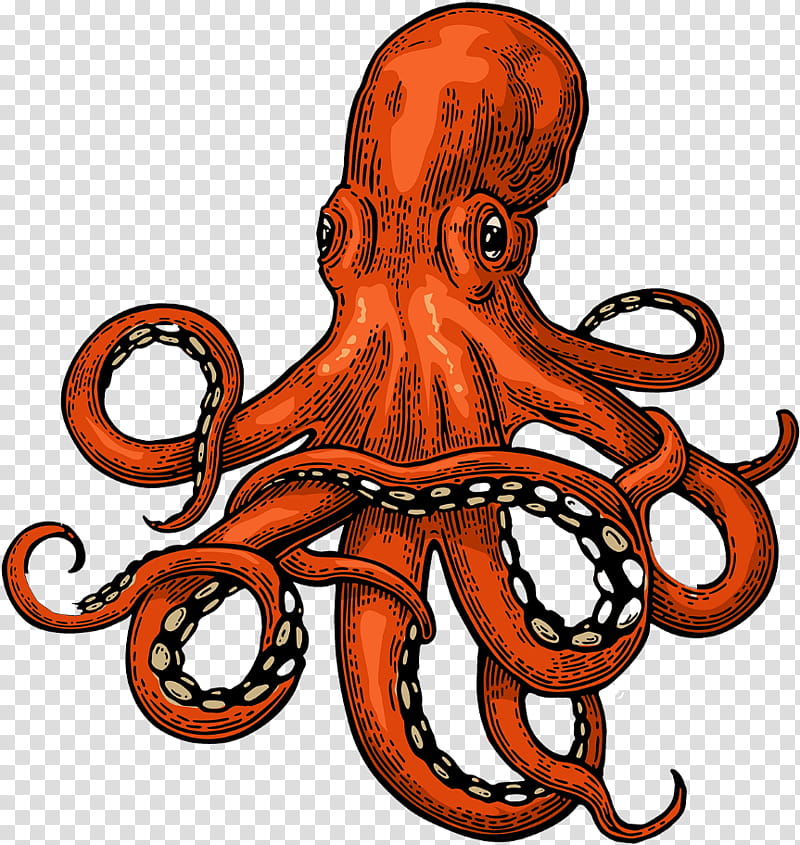 Octopus, Sea Monster, Drawing, Kraken, Gigantic Octopus, Tentacle