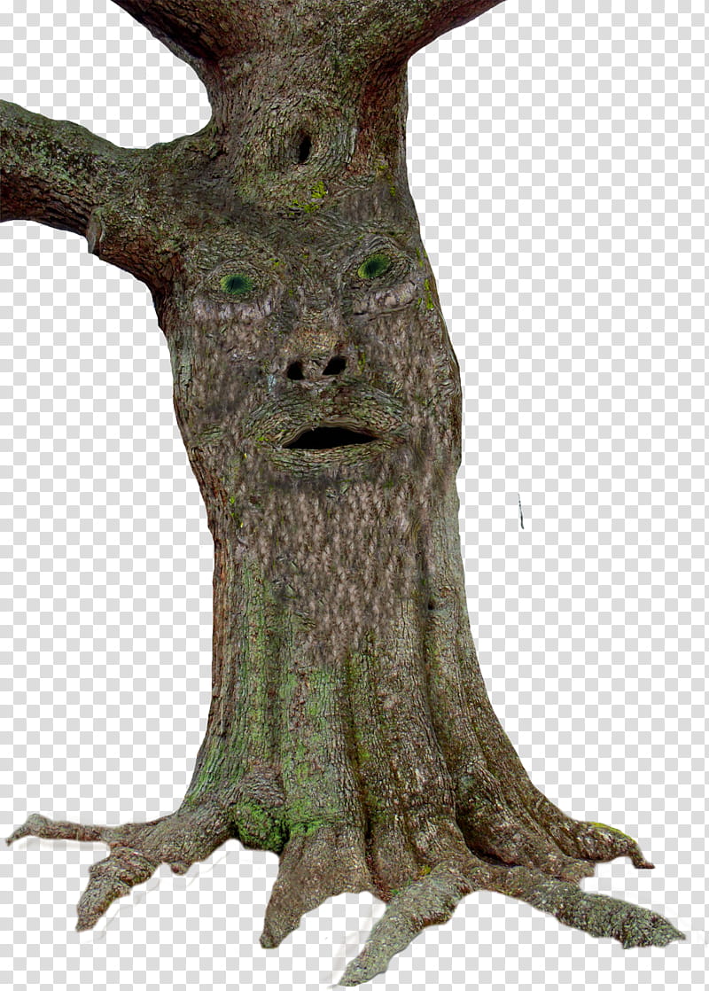 Tree, tree trunk with face transparent background PNG clipart