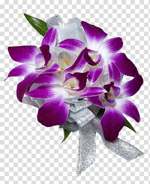 Blue Iris Flower, Dendrobium, Orchids, Moth Orchids, Corsage, Connells Maple Lee, Cut Flowers, Plants transparent background PNG clipart