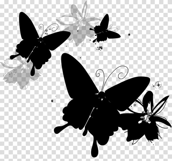Butterfly Stencil, Brushfooted Butterflies, Drawing, Child, 2018, Yandex, Lepidoptera, Entertainment transparent background PNG clipart