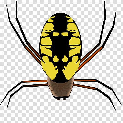 Yellow, Web Design, Insect, Snippet, Weaving, Membrane, Price, Orbweaver Spiders transparent background PNG clipart