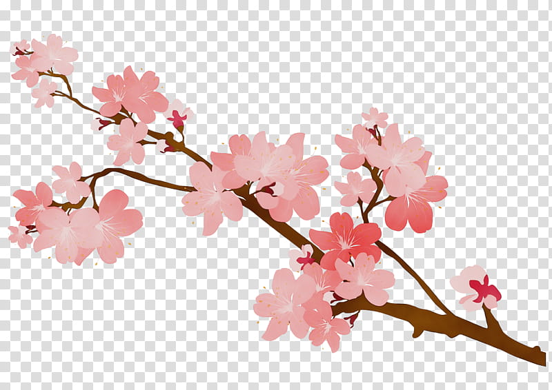 Cherry Blossom Tree Drawing, Sketchbook, Artist, Film, Diary, Art Museum, Flower, Branch transparent background PNG clipart