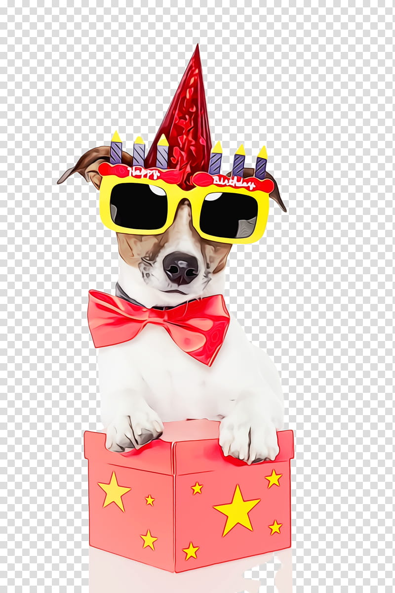 Party hat, Watercolor, Paint, Wet Ink, Dog, Dog Breed, Rat Terrier, Jack Russell Terrier transparent background PNG clipart