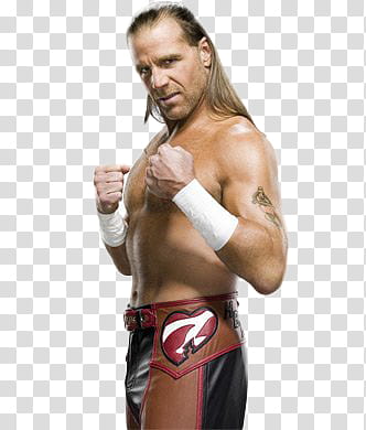 AJ Lee and Shawn Michaels Alma Edicions transparent background PNG clipart