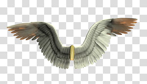 Wings 1 transparent background PNG clipart thumbnail