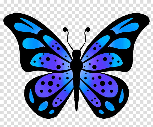 blue cartoon butterfly