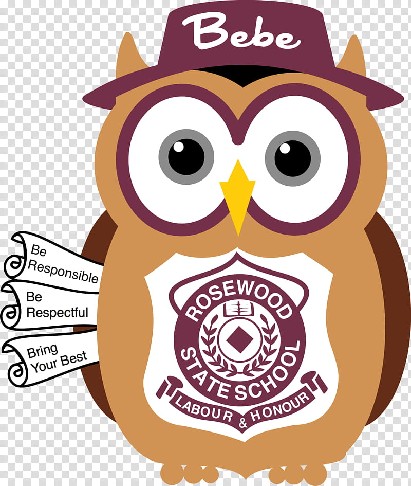 Owl, School
, Year Three, Learning, Extracurricular Activity, Curriculum, Behavior, Food transparent background PNG clipart
