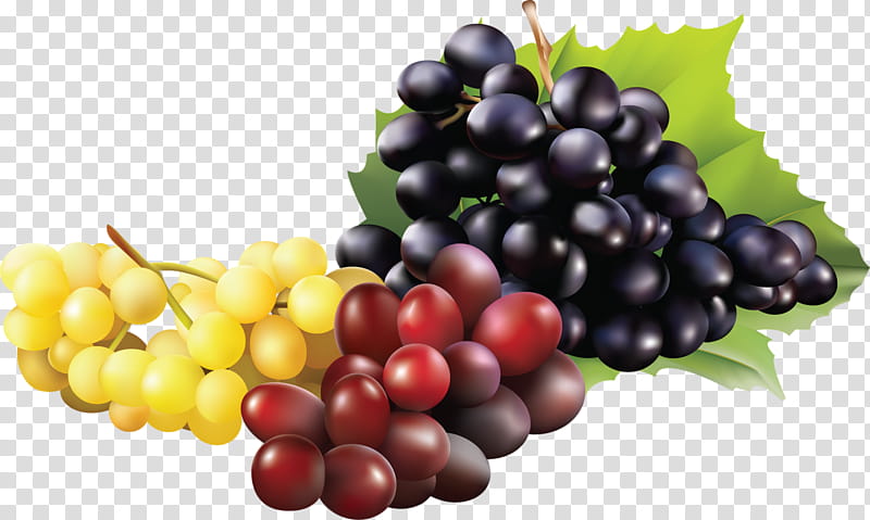 Flower Leaves, Sultana, Grape, Kyoho, Wine, Fruit, Raisin, Table Grape transparent background PNG clipart
