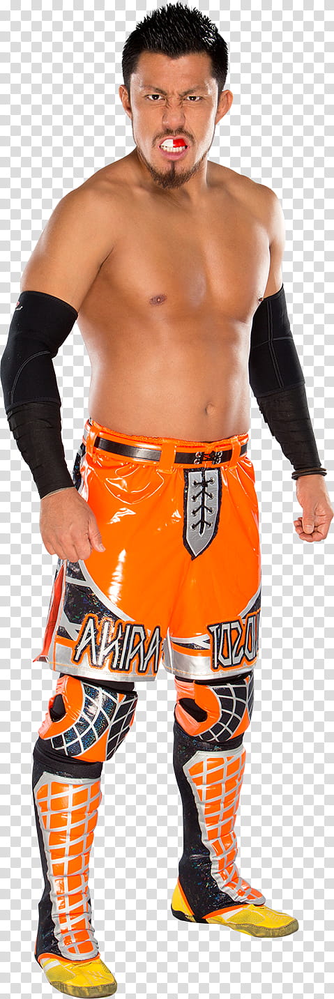 Akira Tozawa  Stats transparent background PNG clipart