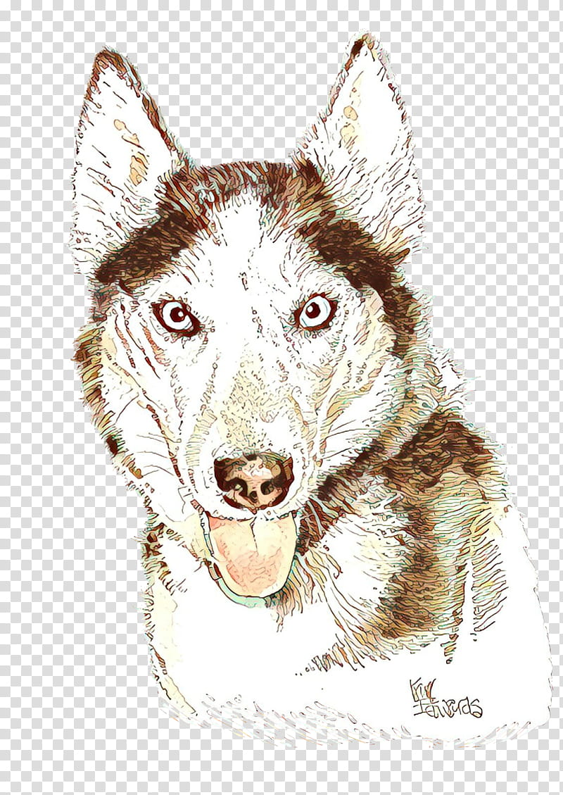 dog head drawing working dog transparent background PNG clipart