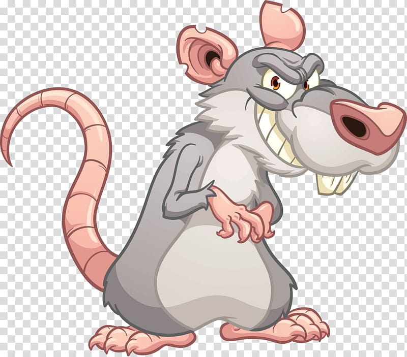 rat cartoon mouse muridae muroidea, Pest transparent background PNG clipart